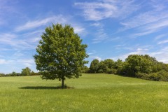 Naturpark Weilbach