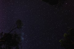 2014-07-16 FS_ Cala Mondrago_0623.jpg